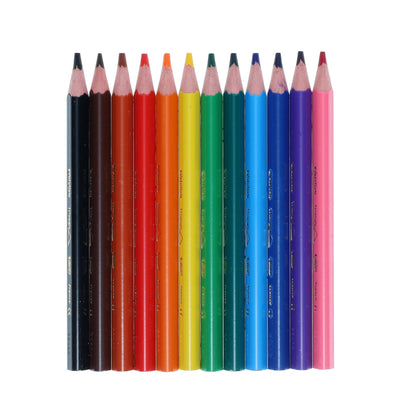 BIC Kids Evolution Triangular Colouring Pencils - Box 216