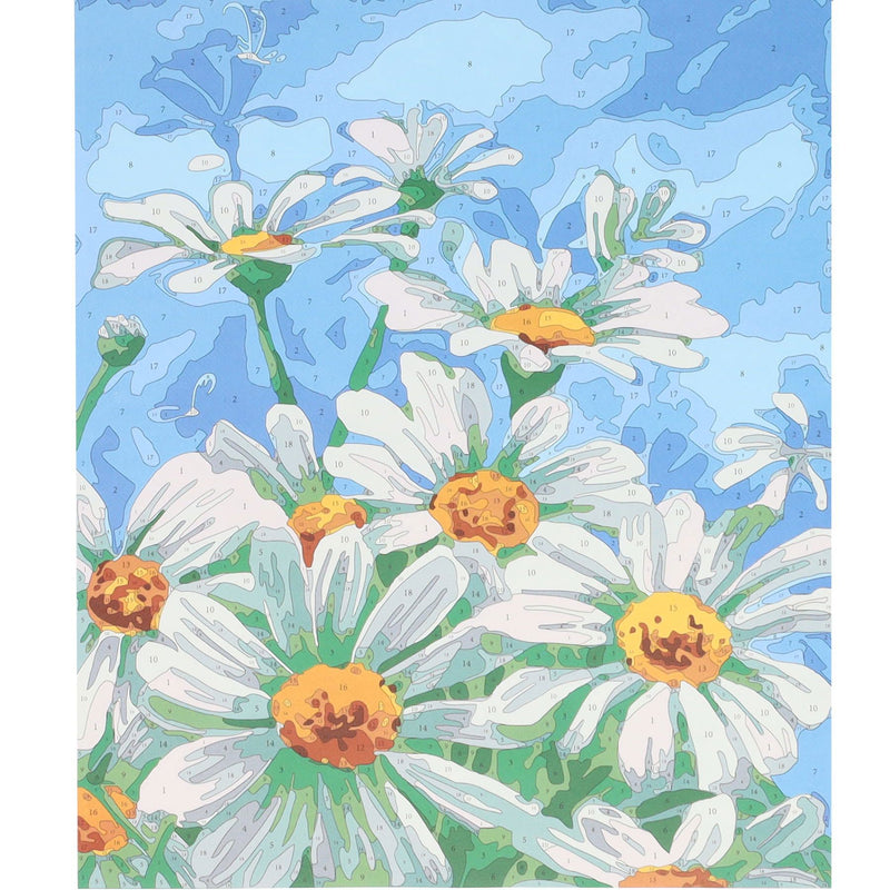 Icon Paint By Numbers Canvas - 300x250mm - Daisy Meadow