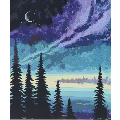 Icon Paint By Numbers Canvas - 300x250mm - Night Forest