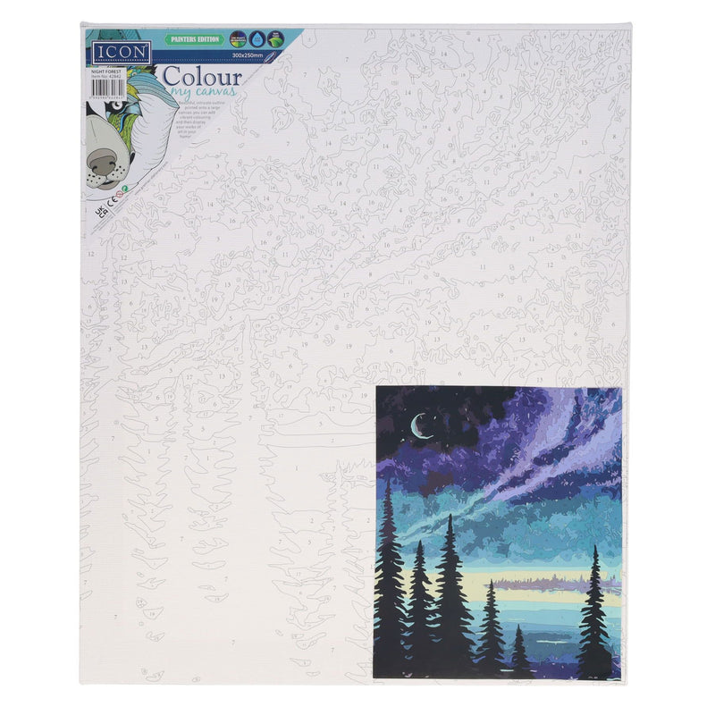 Icon Paint By Numbers Canvas - 300x250mm - Night Forest